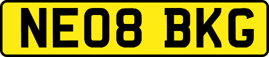 NE08BKG