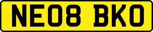 NE08BKO
