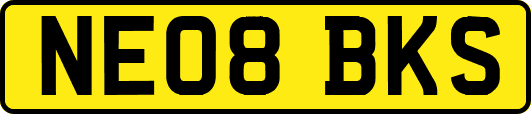 NE08BKS