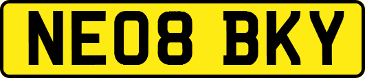 NE08BKY