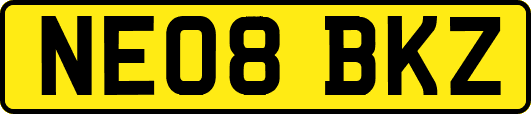 NE08BKZ
