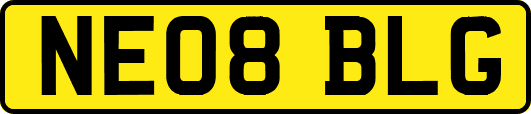 NE08BLG