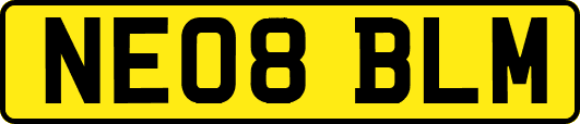 NE08BLM