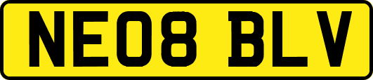 NE08BLV