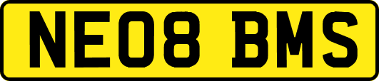 NE08BMS