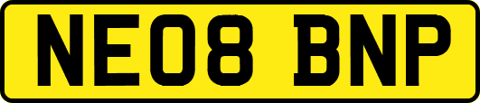 NE08BNP