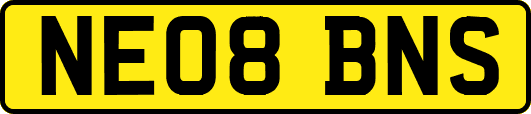NE08BNS