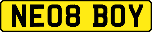 NE08BOY