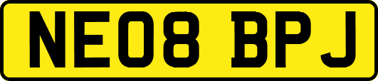NE08BPJ