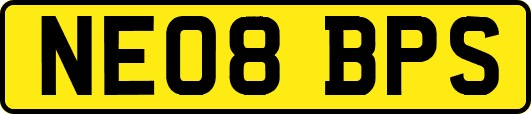 NE08BPS