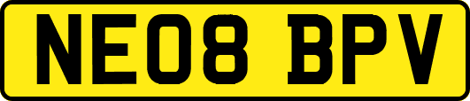 NE08BPV