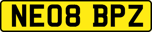 NE08BPZ