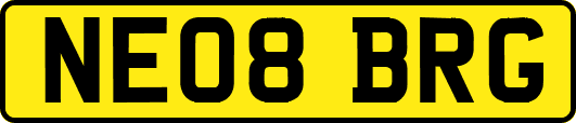 NE08BRG