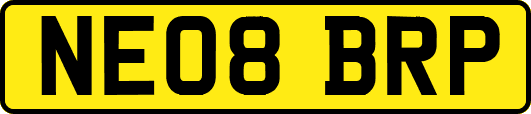 NE08BRP