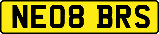 NE08BRS