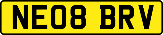 NE08BRV