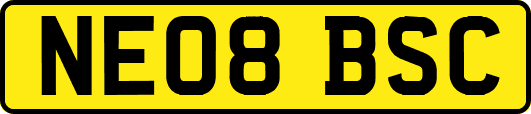 NE08BSC