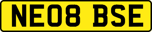 NE08BSE