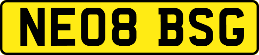 NE08BSG