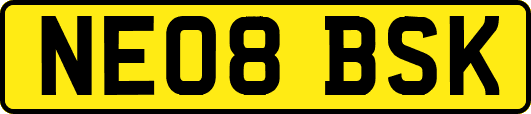 NE08BSK