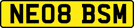 NE08BSM