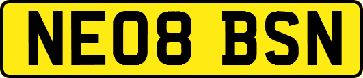 NE08BSN