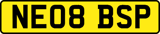 NE08BSP