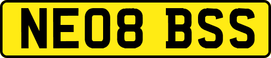 NE08BSS