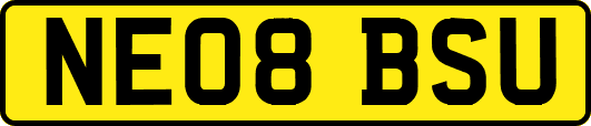 NE08BSU