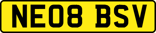 NE08BSV