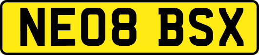 NE08BSX