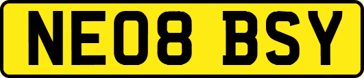 NE08BSY