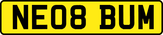NE08BUM