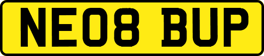 NE08BUP