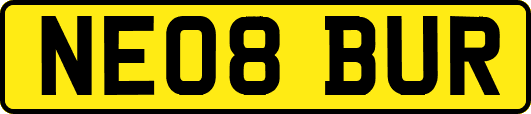 NE08BUR