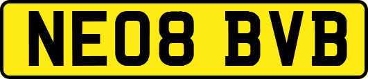 NE08BVB