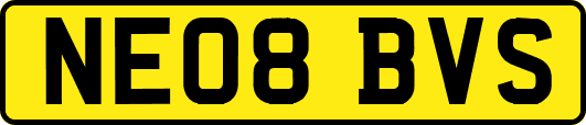 NE08BVS