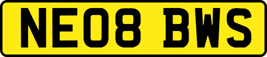 NE08BWS