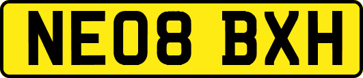 NE08BXH