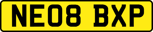 NE08BXP