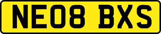 NE08BXS