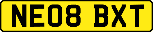 NE08BXT