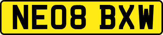 NE08BXW
