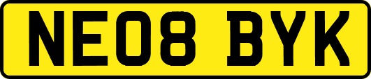 NE08BYK