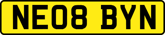 NE08BYN