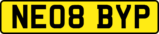NE08BYP