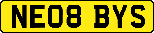 NE08BYS