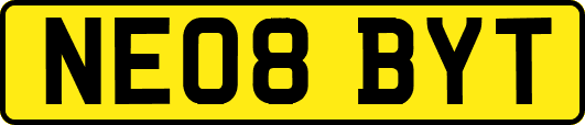 NE08BYT