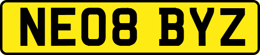 NE08BYZ