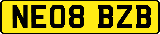 NE08BZB